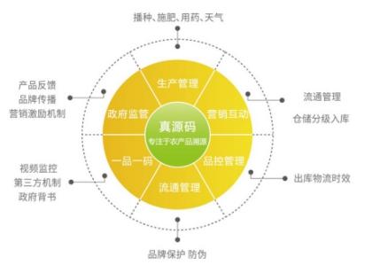 布雷顿森林体系简介